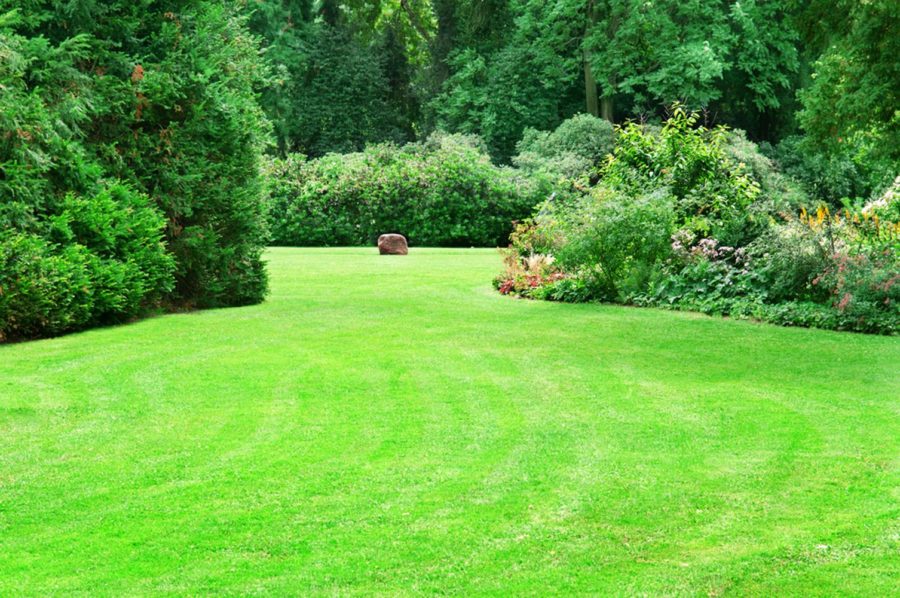 Conception de jardin, une prestation conforme à vos attentes Conception de jardin, une prestation conforme à vos attentes