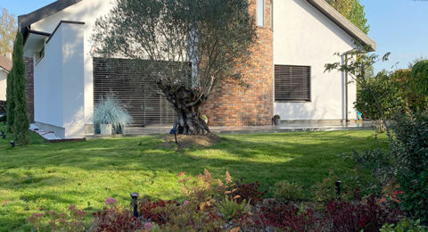 Rénovation totale d'un jardin autour d'une maison rénovée des années 80, chantier fini - Paysagiste J2M3A