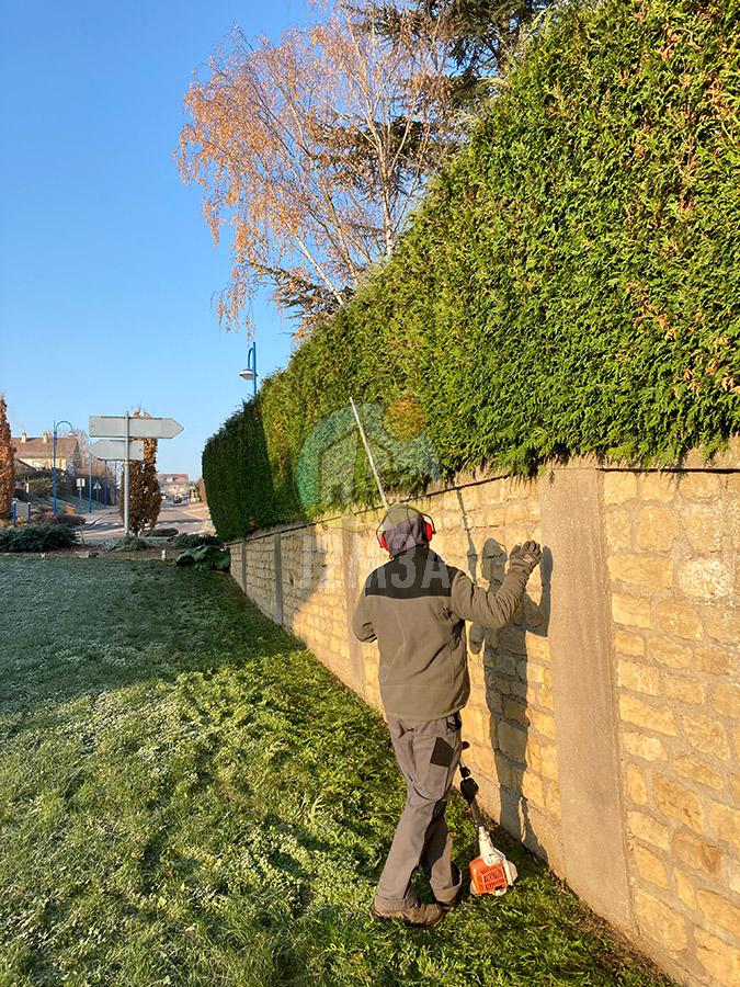 Taille d'une haie - Paysagiste J2M3A